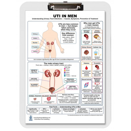 UTI in Men Clipboard — Durable A4 Clipboard with Removable Double-Sided Chart