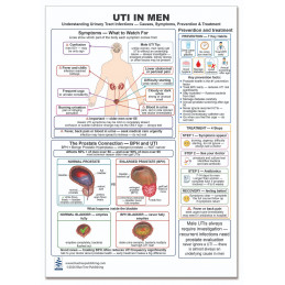 UTI in Men — Laminated Double-Sided A4 Reference Card