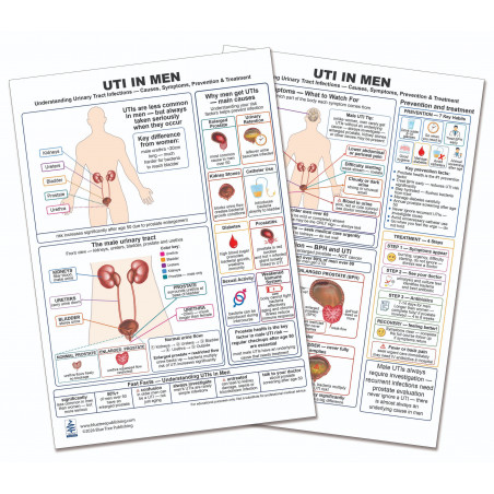 UTI in Men — Laminated Double-Sided A4 Reference Card