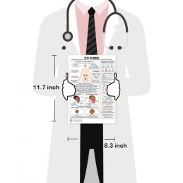 UTI in Men — Laminated Double-Sided A4 Reference Card