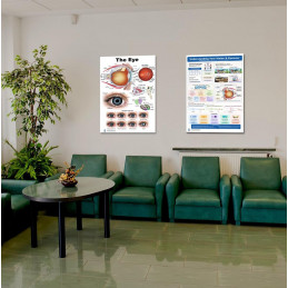 Complete Eye & Vision Bundle — The Eye Anatomy Poster & Understanding Your Vision & Eyewear Chart