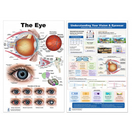 Complete Eye & Vision Bundle — The Eye Anatomy Poster & Understanding Your Vision & Eyewear Chart