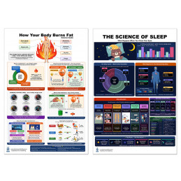 Complete Sleep & Fat Burning Bundle — Two 24x36 Inch Laminated Science Posters | Blue Tree Publishing