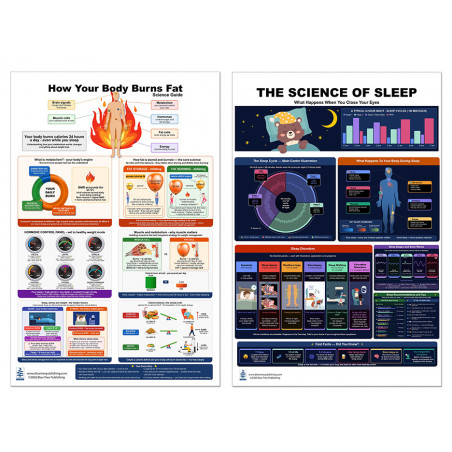 Complete Sleep & Fat Burning Bundle — Two 24x36 Inch Laminated Science Posters | Blue Tree Publishing