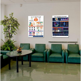 Complete Sleep & Fat Burning Bundle — Two 24x36 Inch Laminated Science Posters
