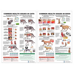 Common Health Issues in Cats & Dogs Bundle — Two 24x36 Inch Laminated Veterinary Posters