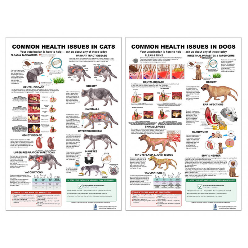 Common Health Issues in Cats & Dogs Bundle — Two 24x36 Inch Laminated Veterinary Posters