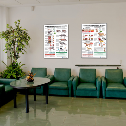 Common Health Issues in Cats & Dogs Bundle — Two 24x36 Inch Laminated Posters | Blue Tree Publishing