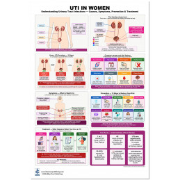 UTI in Women: Causes, Symptoms, Prevention & Treatment Poster
