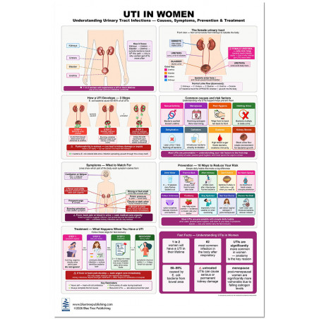 UTI in Women: Causes, Symptoms, Prevention & Treatment Poster