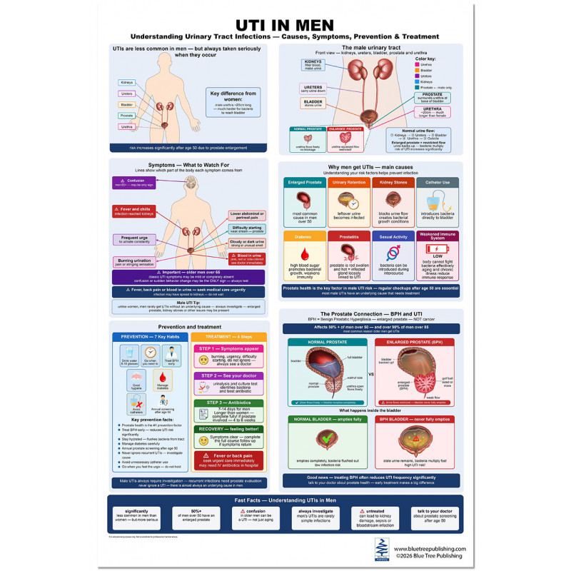 UTI in Men Poster | Causes, Symptoms & Prostate Connection