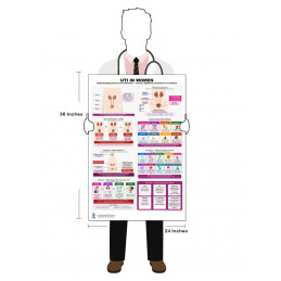 UTI in Men: Causes, Symptoms, Prevention & Treatment Poster