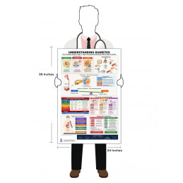 Understanding Diabetes: Type 1, Type 2 & Gestational Diabetes Poster