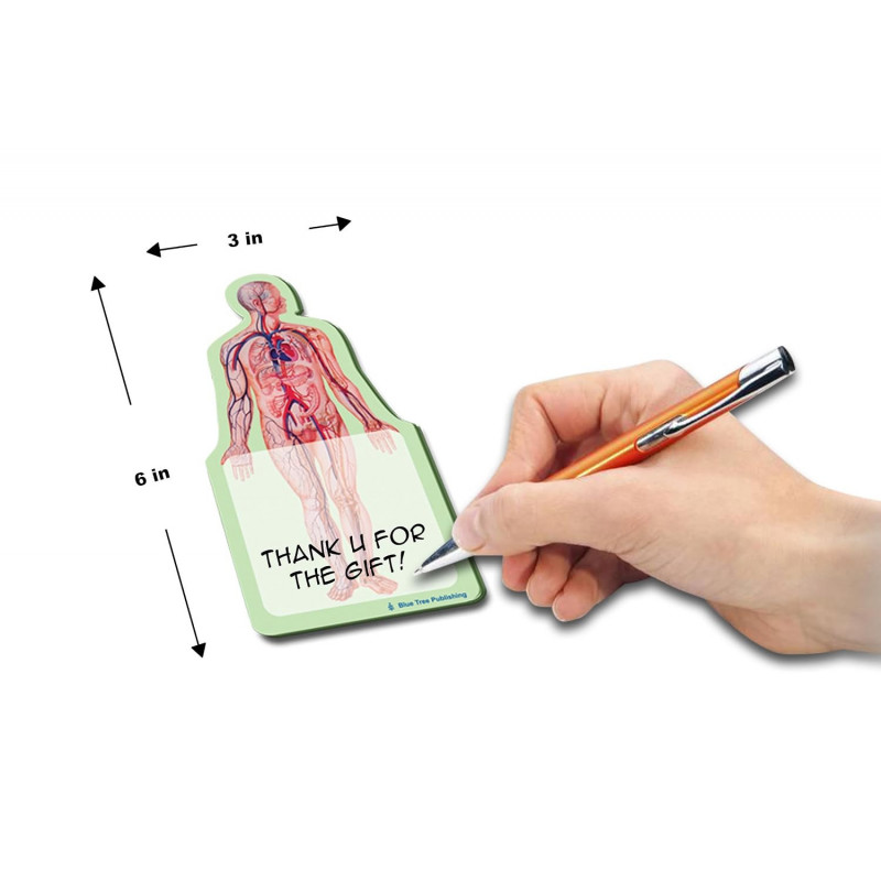 Anatomy Sticky Notes 2 Pack