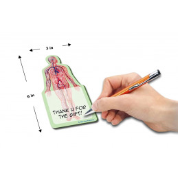 Anatomy Sticky Notes 10 Pack