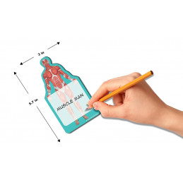 Skeleton x-ray Sticky Notes Collection, 24 Pack-100 Sheets Per Pack