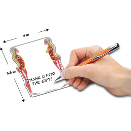 Female and Male Anatomical Sticky Note 4 pack set