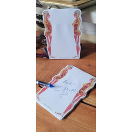 Female and Male Anatomical Sticky Note 2pack set