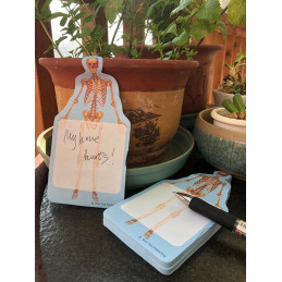 Fun Anatomy Sticky Notes Collection, 3Pack-100