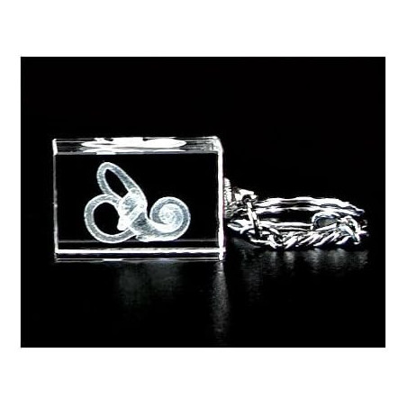 Cochlea 3d Laser Crystal Key Chain