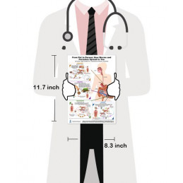 Parasite & Worm Transmission Chart – Pet to Human A4 Reference | Blue Tree Publishing