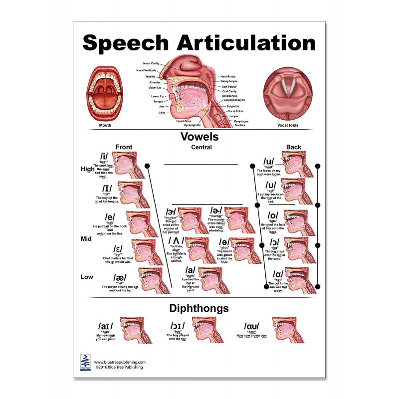 speech definition articulation