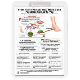 Parasite & Worm Transmission Clipboard – Pet to Human Reference | Blue Tree Publishing