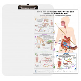 Parasite & Worm Transmission Clipboard – Pet to Human Reference | Blue Tree Publishing
