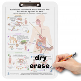 Parasite & Worm Transmission Clipboard – Pet to Human Reference | Blue Tree Publishing