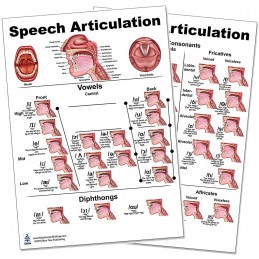 Speech Articulation Regular Poster Set