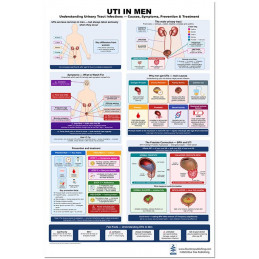 Urinary Tract Poster Set – UTI in Women & Men + Anatomy Chart (3-Pack)