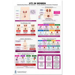 Urinary Tract Poster Set – UTI in Women & Men + Anatomy Chart (3-Pack)