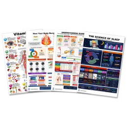 Wellness Poster Set – Vitamins, Metabolism, Diabetes & Sleep (4-Pack)