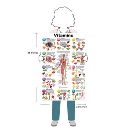 Wellness Poster Set – Vitamins, Metabolism, Diabetes & Sleep (4-Pack)