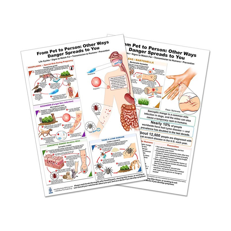 Blue Tree Publishing – Pet-to-Person Disease Chart (Toxoplasma, Ringworm, Ticks & Fleas)