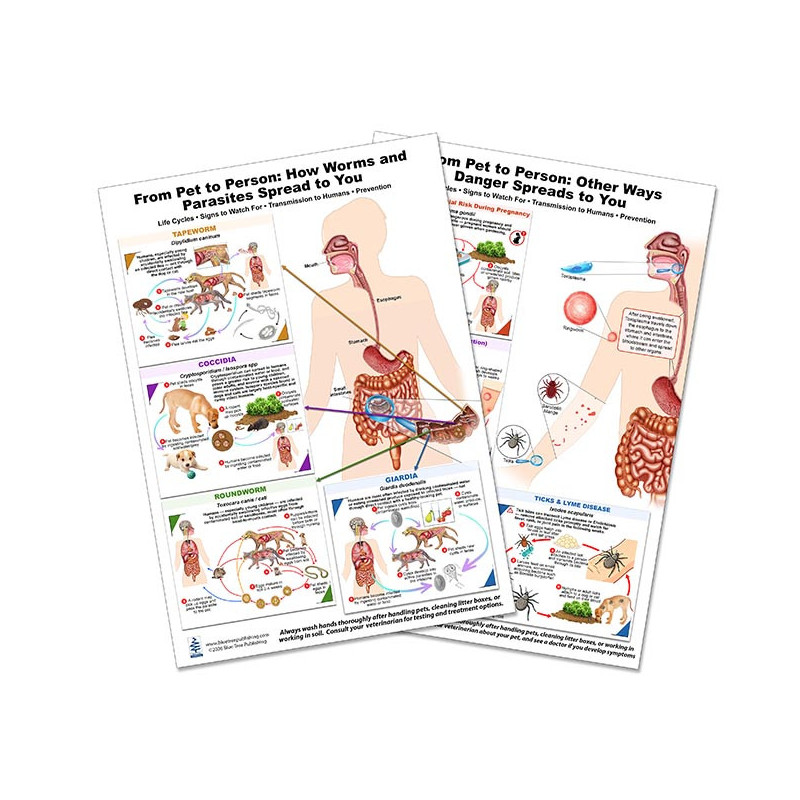 Blue Tree Publishing – Pet-to-Person Zoonotic Disease Chart Set (A4, 2-Pack)