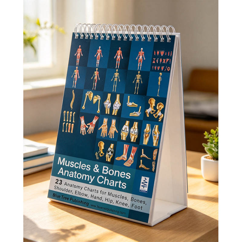 Muscles & Bones Anatomy Flip Book – 23 Pages, 5"x8"