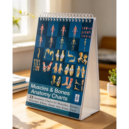 Muscles & Bones Anatomy Flip Book – 23 Pages, 5"x8"