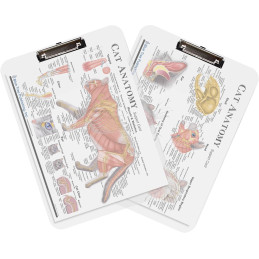 Cat Anatomy Clipboard Set | 2-Piece Veterinary Reference Clipboards | Blue Tree Publishing