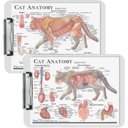 Cat Anatomy Clipboard Set | 2-Piece Veterinary Reference Clipboards | Blue Tree Publishing