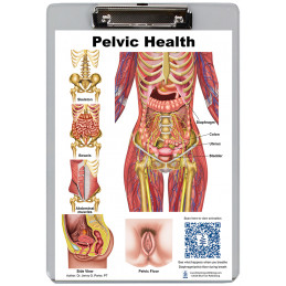Pelvic Health and Pelvic Floor Dry Erase Clipboard front view