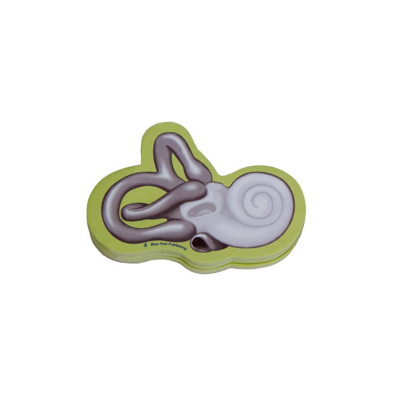 thumbnail image 2 of Audiologist Gift Audiology Graduation Audiologist Mug 2 of 14