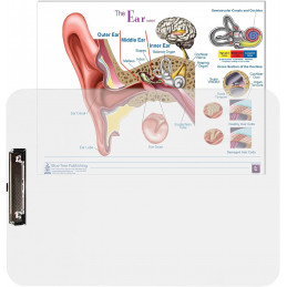 One clever clipboard that works with any paper you already have. Insert it. Write on it. Wipe it clean. Repeat forever.