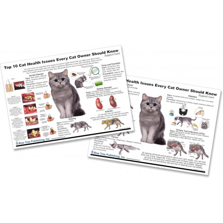 Cat Health Issues support chart