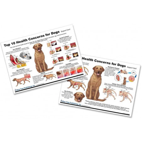Dog 10 Health Concern Chart