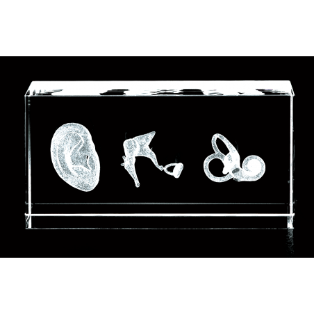 Ear Three Image 3D Laser Medium Crystal, Anatomy, Outer Middle and Inner Ear