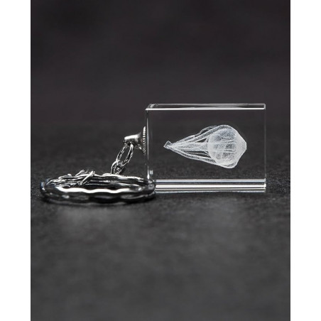 Eye Anatomy Crystal Key Chain optometrists, ophthalmologists, and opticians