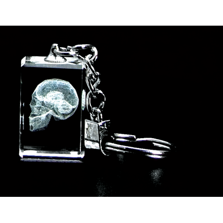 Skull and Brain 3D Laser Key Chain Crystal