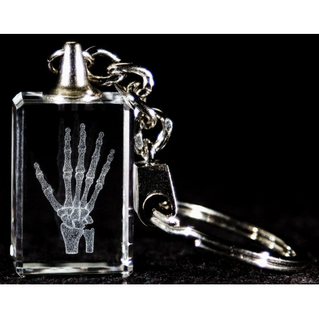 Hand and Wrist 3d Laser Key Chain Crystal, Anatomy, Bone, Physical Therapy, Sports