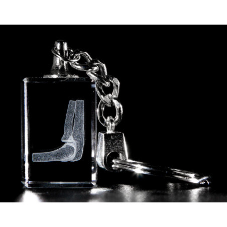 Elbow 3d Laser Key Chain Crystal, Anatomy, Bone, Physical Therapy, Sports